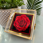 Alluring Beauty with Rotating Rose Gift Box